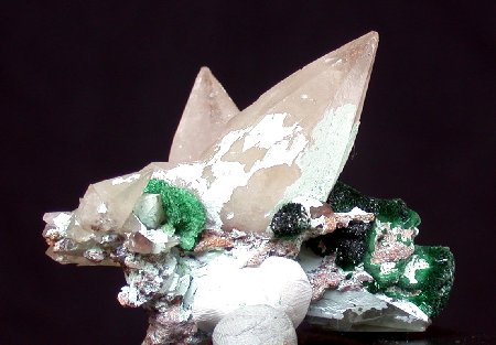 IFM-Dscn.jpg (31093 octets)