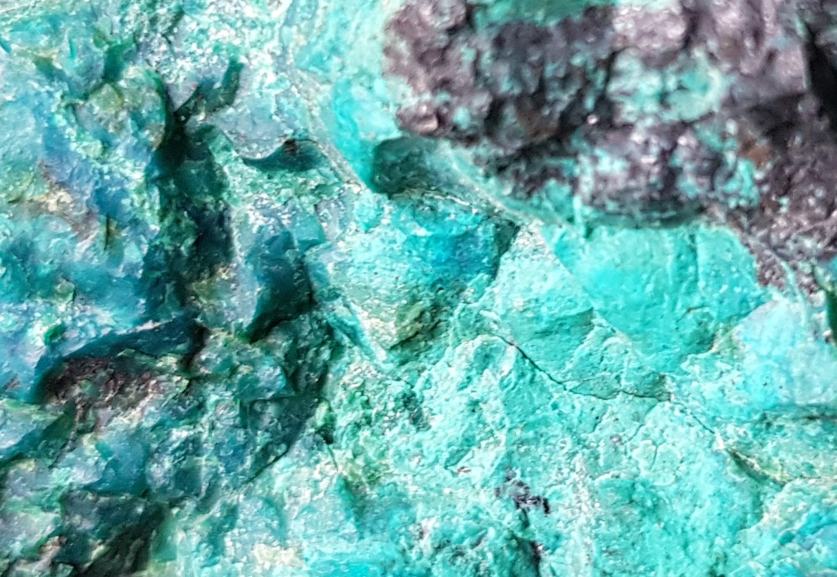 IFM-chrysocole-zoom.JPG (15362 octets)