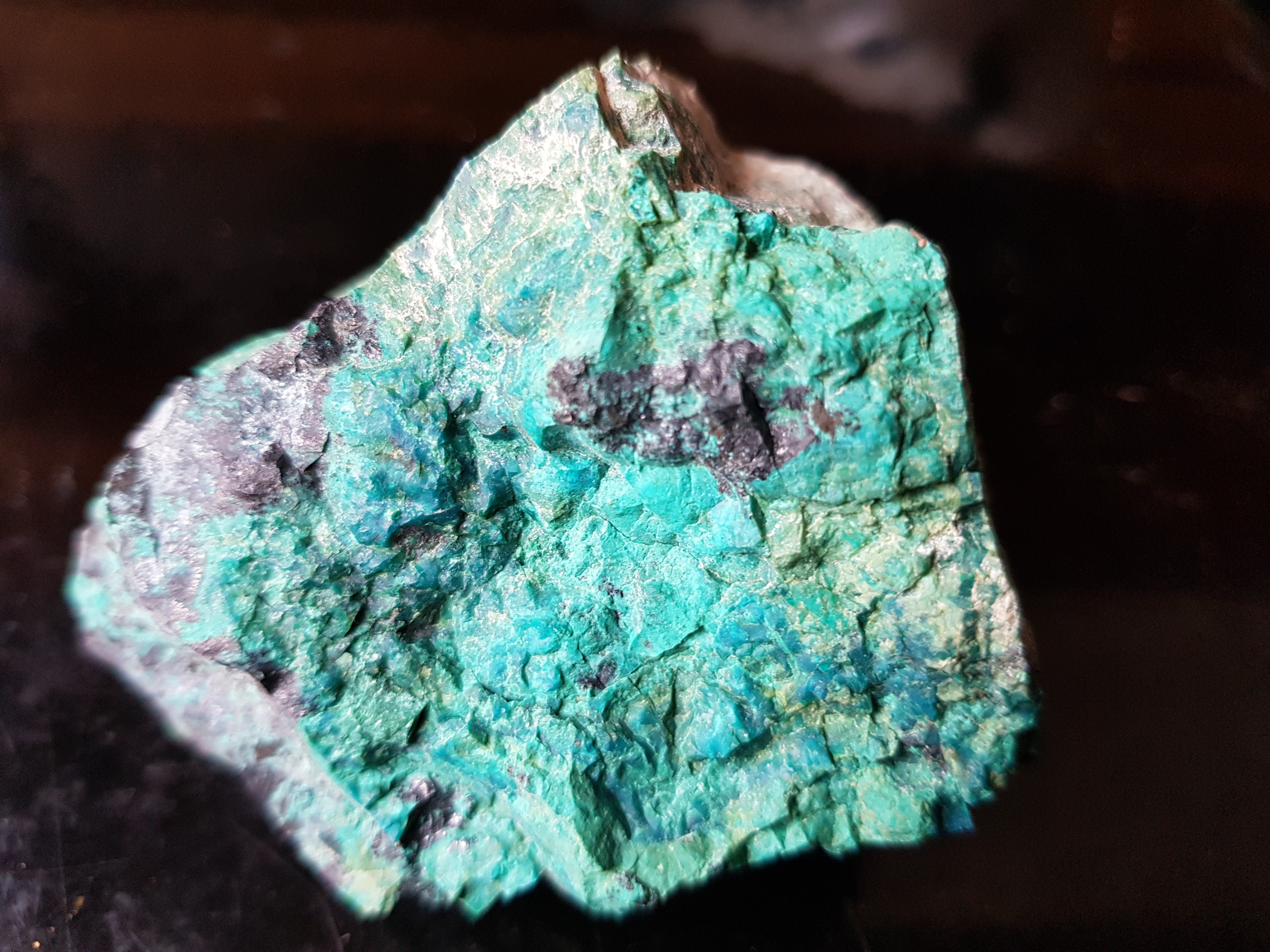 IFM-chrysocole.JPG (67301 octets)