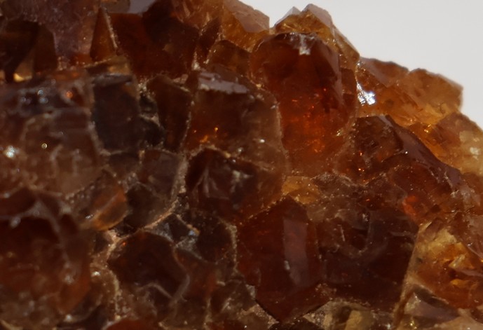 IFM-citrine1.jpg (21123 octets)