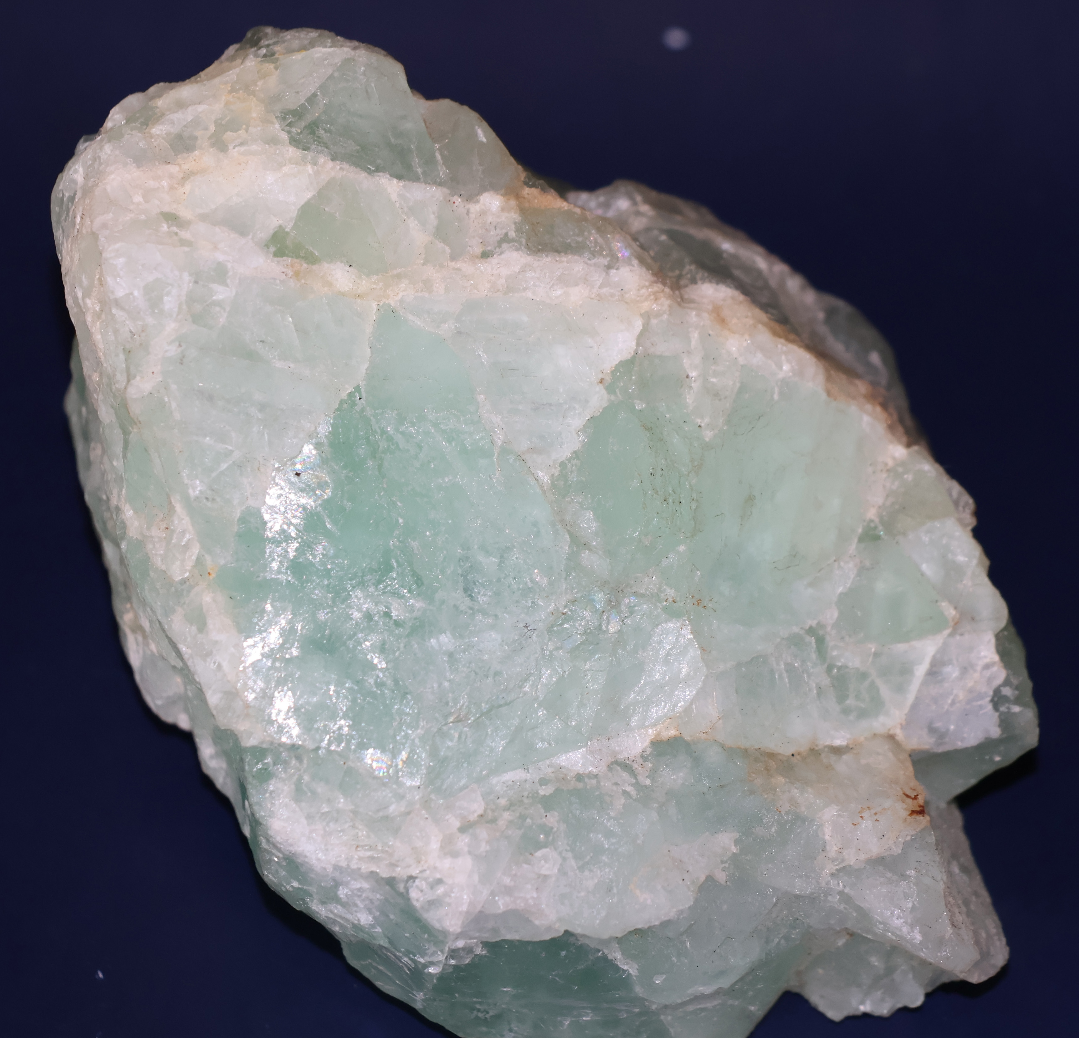 IFM-fluorine.JPG (15054 octets)