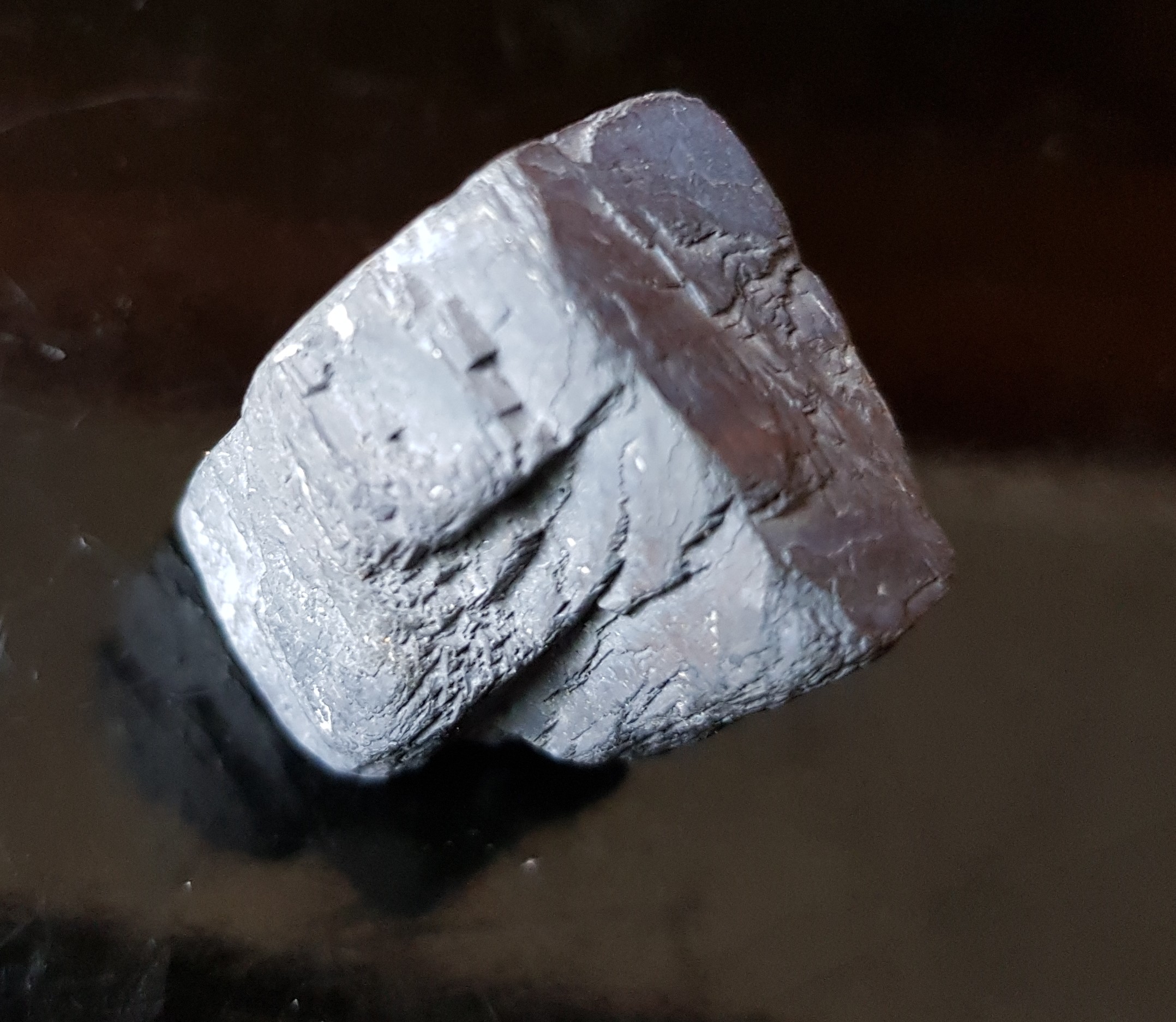 IFM-galene.JPG (19650 octets)