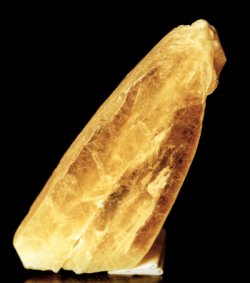 IFM-gypse.JPG (11873 octets)