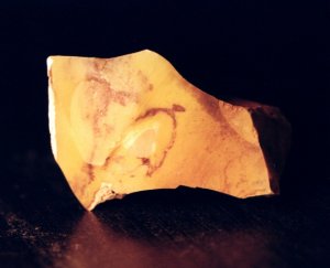 IFM-jaspe.JPG (10543 octets)