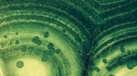 IFM-malachite2.jpg (12925 octets)