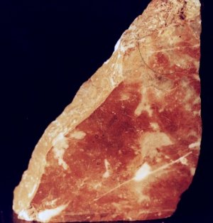 IFM-marbre-rouge.JPG (19609 octets)