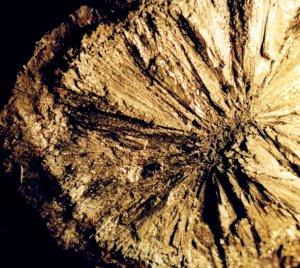 IFM-marcassite2.JPG (37879 octets)