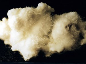 IFM-okenite1.jpg (12129 octets)