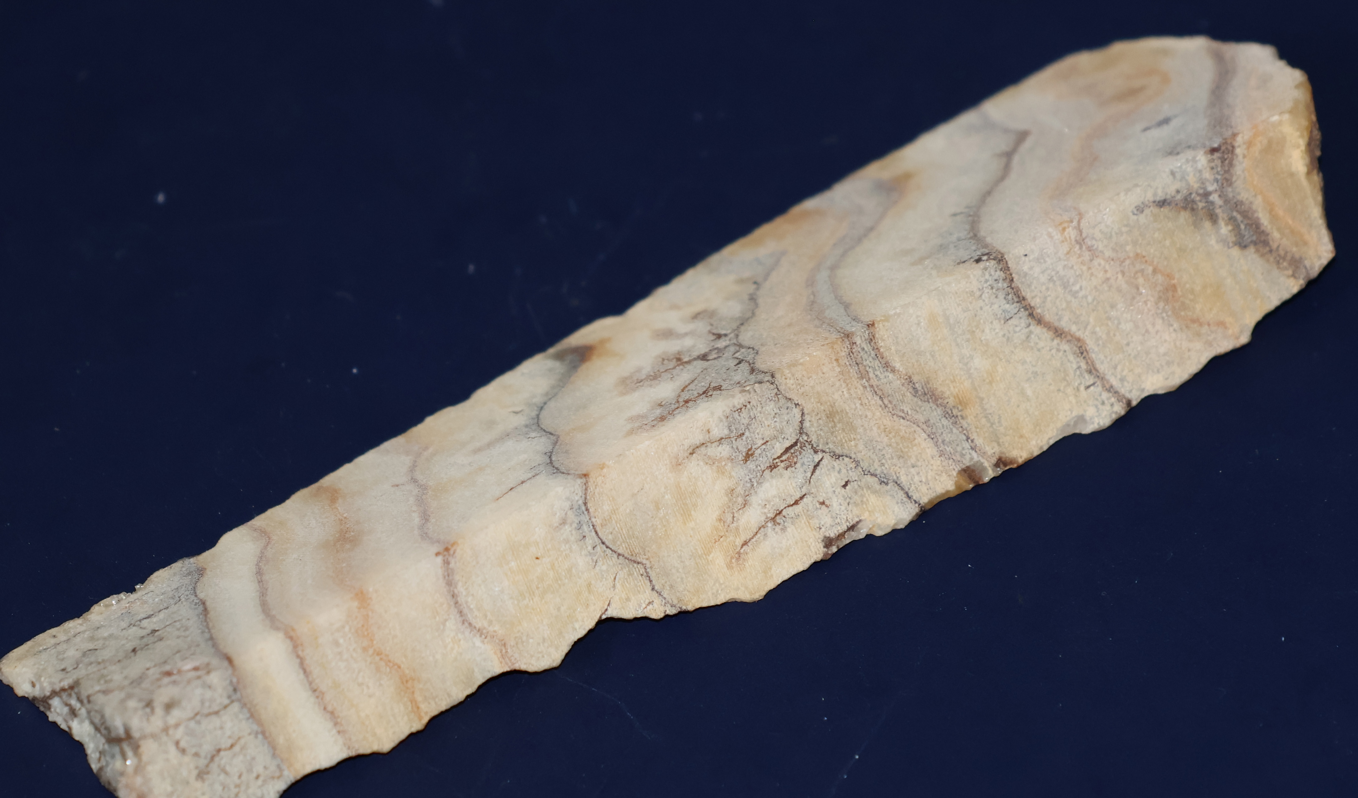 IFM-onyx1.JPG (11363 octets)