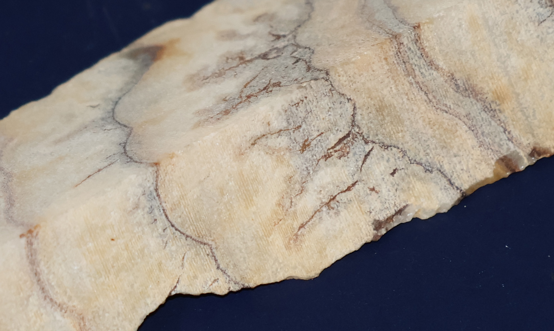 IFM-onyx2.jpg (6344 octets)