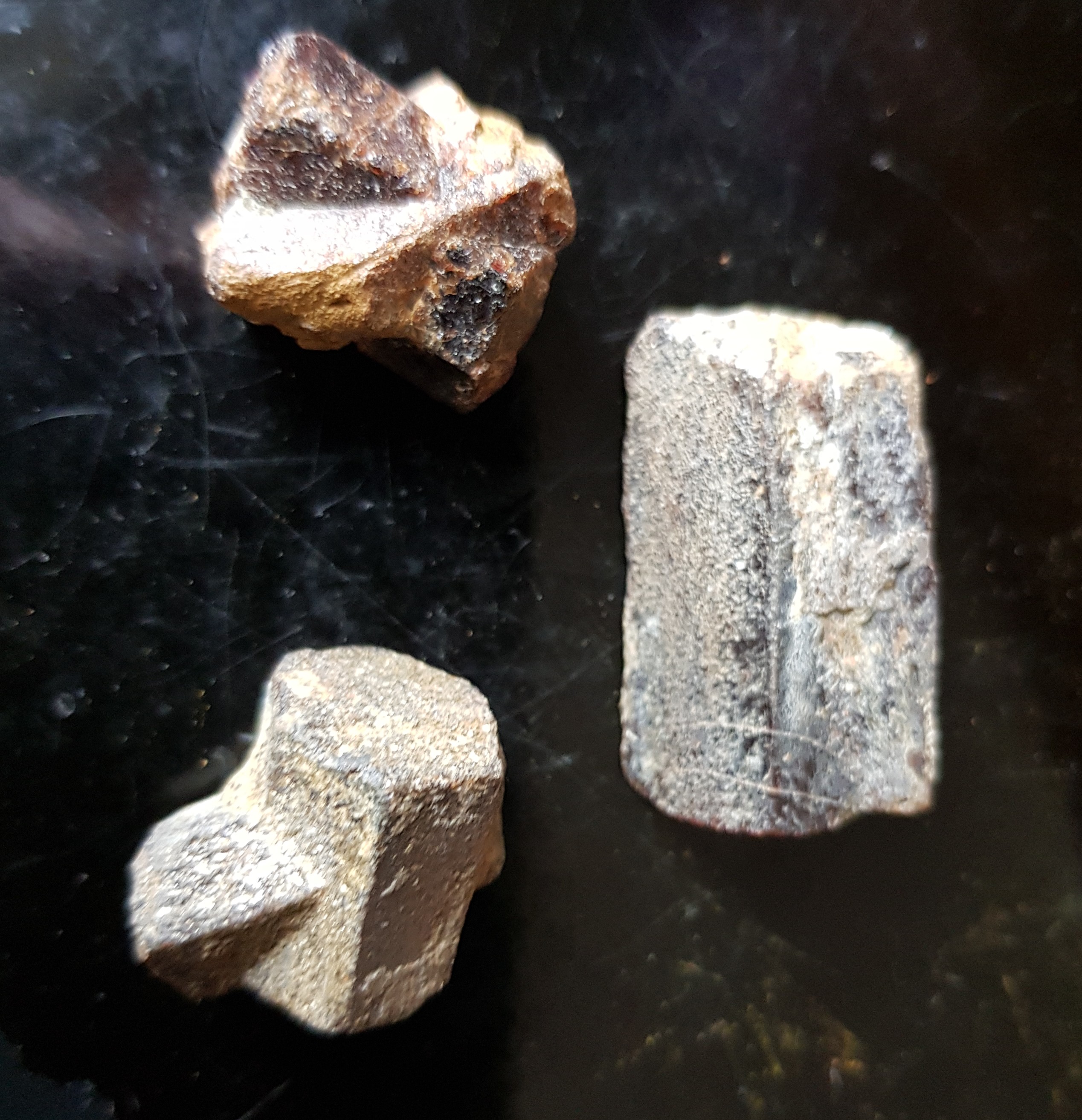 IFM-staurotide.JPG (11763 octets)