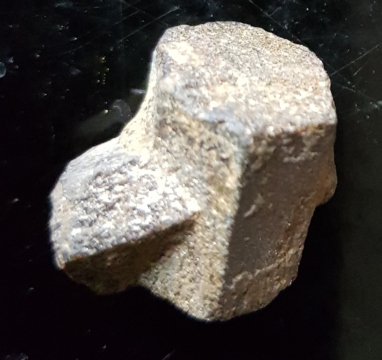 IFM-staurotide2.JPG (13911 octets)