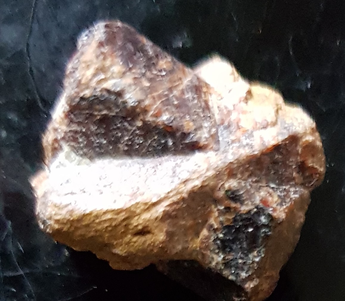 IFM-staurotide3.JPG (9044 octets)